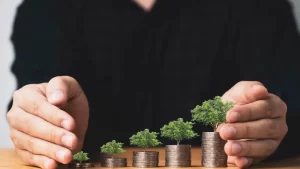 The Power of Compounding How to Turn Small Savings into Wealth